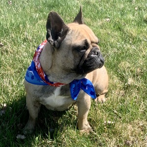 Fundraising Page: Caroline Thompson